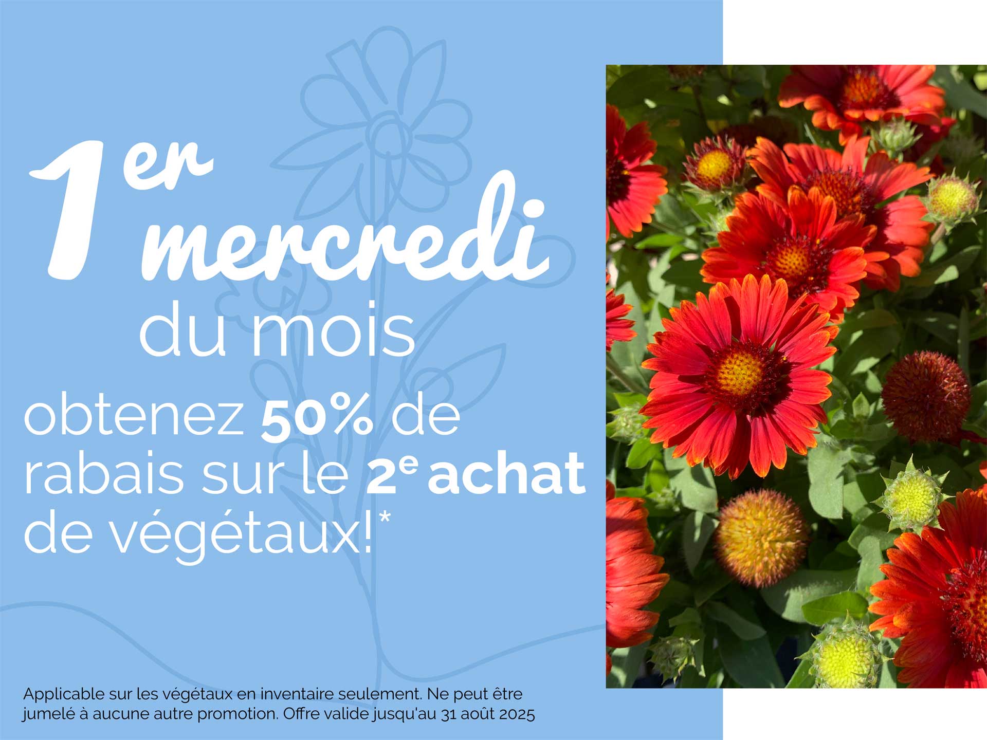 promo-mercredi